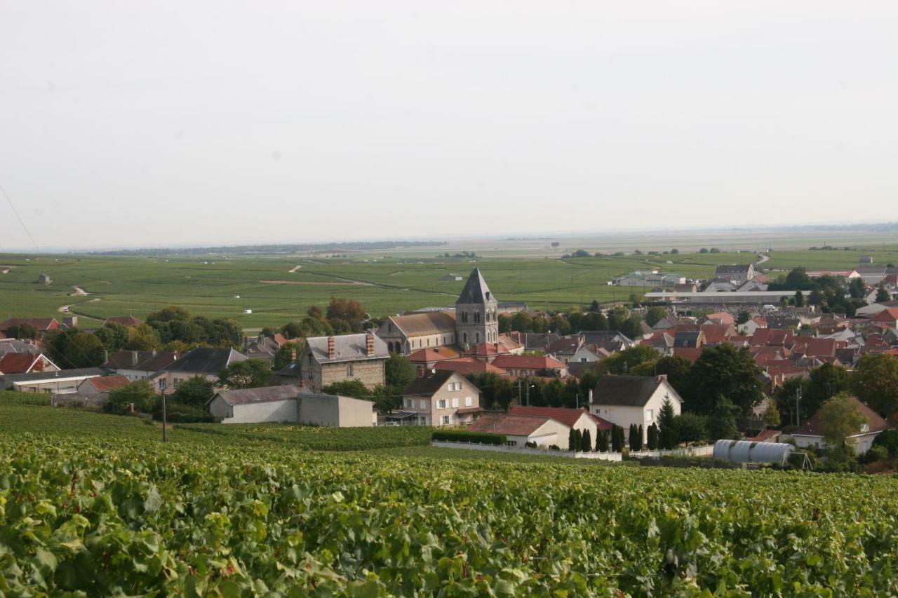 Bed and Breakfast Demeure Saint Martin Blancs-Coteaux Esterno foto