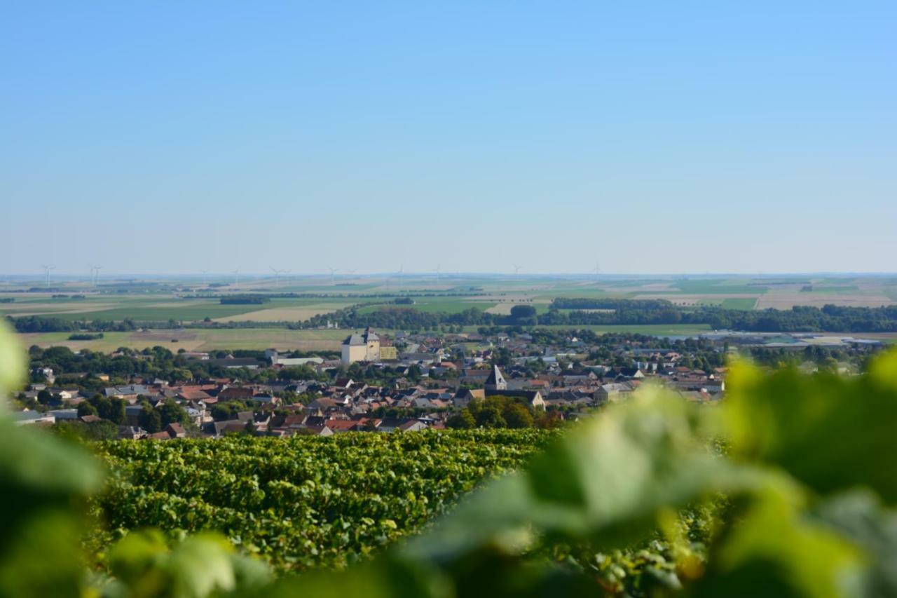 Bed and Breakfast Demeure Saint Martin Blancs-Coteaux Esterno foto